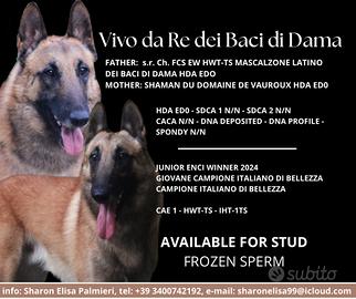 Disponibile per monte