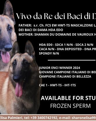 Disponibile per monte