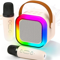 Karaoke Portatile con 2 Microfoni e Luci LED