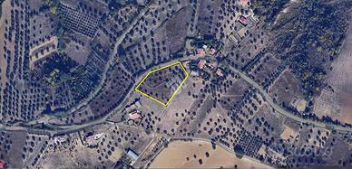 TER. RESIDENZIALE A CASTELLALTO