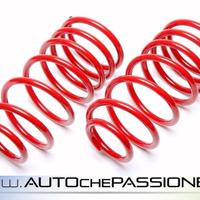 Kit molle sportive Ta Tecnix per Smart Fortwo MC 0