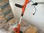 Immagine 2