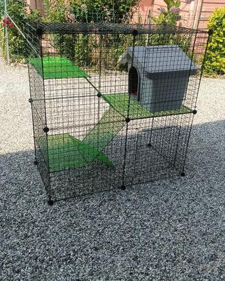 Gabbia per gatti