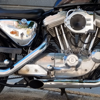 Scarichi Terminali silenziatori sportster 1200