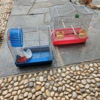 Gabbiette uccellino e criceto