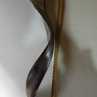 Corno per carpigiani