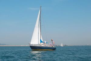 New Ranger (1979) Barca a vela 