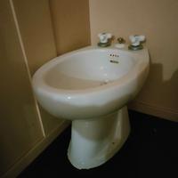 Bidet Pozzi Ginori