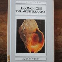 Le conchiglie del Mediterraneo