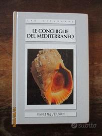 Le conchiglie del Mediterraneo
