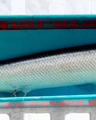 VINTAGE ORIGINAL RAPALA  WOBBLER MADE IN FINLAND