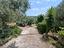 Immagine 12