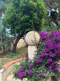 Anzio casa con giardino - speciale dal 20 agosto