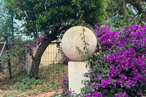 Anzio casa con giardino - speciale dal 20 agosto