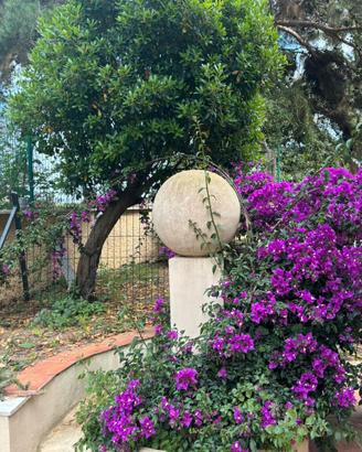 Anzio casa con giardino - speciale dal 20 agosto