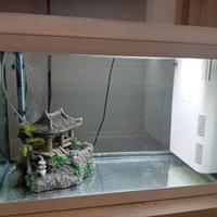 acquario sia per pesci di acqua dolce che salata 