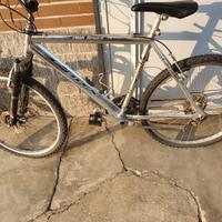 Bicicletta mountain bike