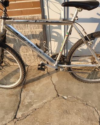 Bicicletta mountain bike