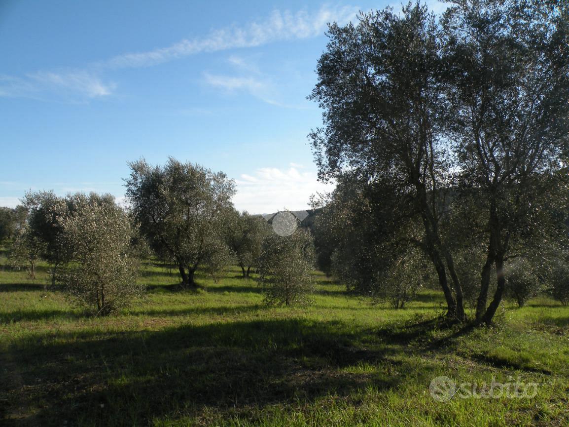 TER. RESIDENZIALE A GROSSETO - Vista 4