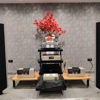 Quad ESL2905 diffusori elettrostatici