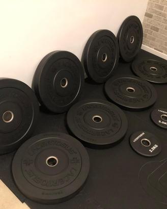 Coppia 20 kg (totale 40 kg)  Bumper Lacertosus