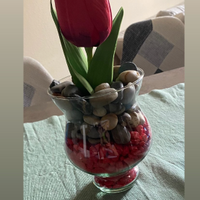 Vaso decorato tulipano