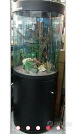 Acquario Cilindrico NUOVO e altri