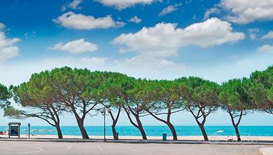 Appartamento a 150 metri dal mare