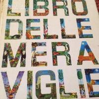 Libro delle meraviglie walt Disney 1961