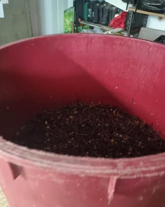 cisterna per vino