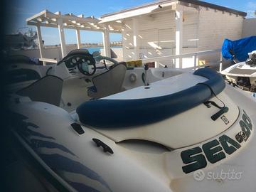 Seadoo Challenger 1800