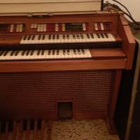 Organo elettronico ed amplificatore