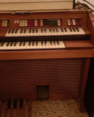 Organo elettronico ed amplificatore