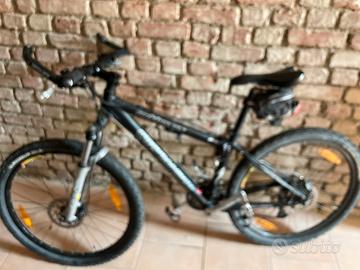 Bicicletta specialized 26