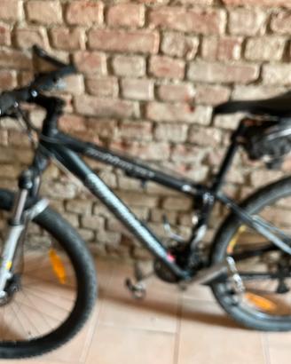 Bicicletta specialized 26