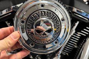 Cover filtro aria Harley davidson skull