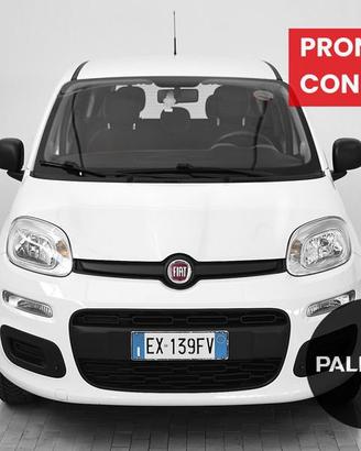 FIAT Panda 1.2 69cv Easy