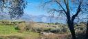 ter-agricolo-a-san-giovanni-a-piro