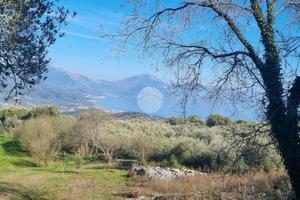 TER. AGRICOLO A SAN GIOVANNI A PIRO