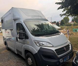 Van trasporto cavalli-Fiat Ducato 35,2,3mjt,130cv