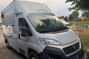 Van trasporto cavalli-Fiat Ducato 35,2,3mjt,130cv