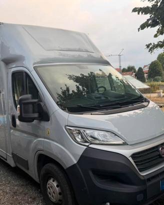 Van trasporto cavalli-Fiat Ducato 35,2,3mjt,130cv