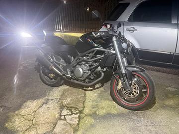 Anno nuovo.raptor nuova