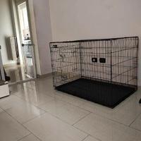 Box/kennel per cani