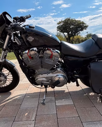 SPLENDIDA Harley Davidson 883 XL