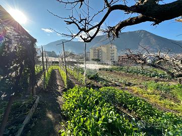 TER. AGRICOLO A GRAGNANO