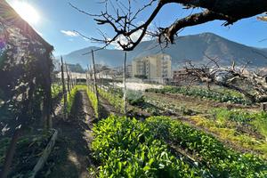 TER. AGRICOLO A GRAGNANO