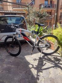 bici elettrica 