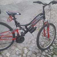 Mountain bike 