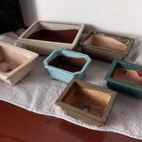 Vasi  per bonsai